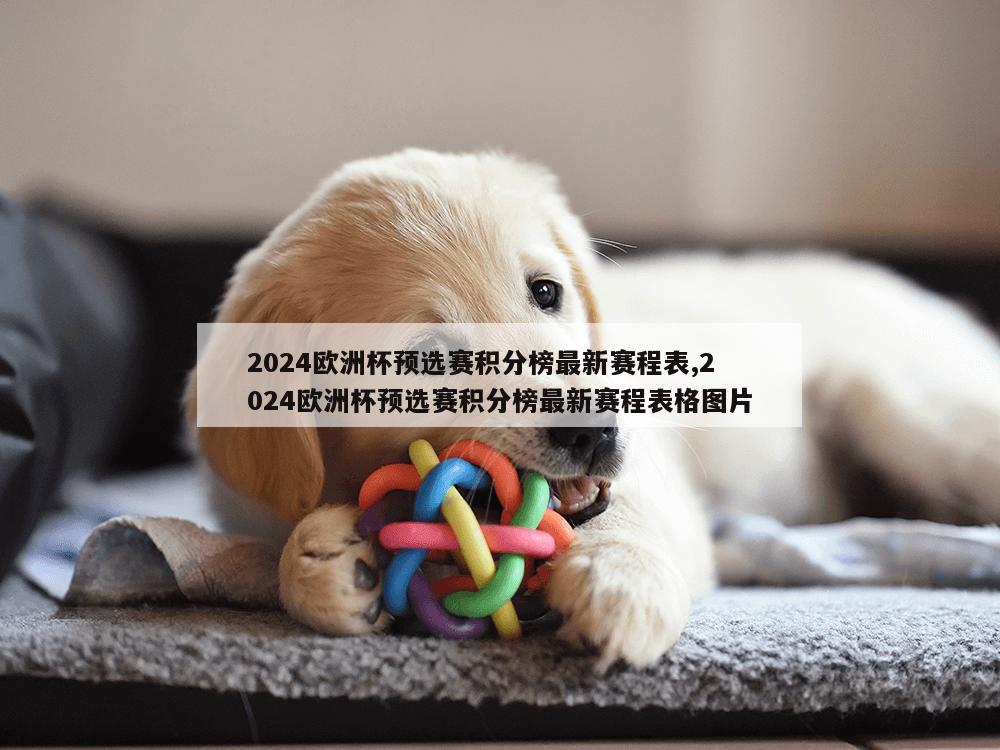 2024欧洲杯预选赛积分榜最新赛程表,2024欧洲杯预选赛积分榜最新赛程表格图片