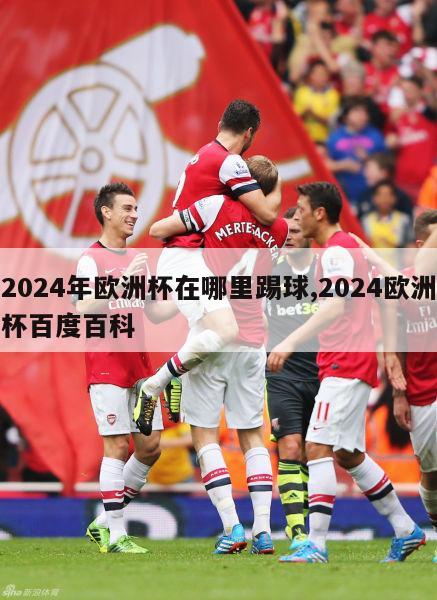 2024年欧洲杯在哪里踢球,2024欧洲杯百度百科