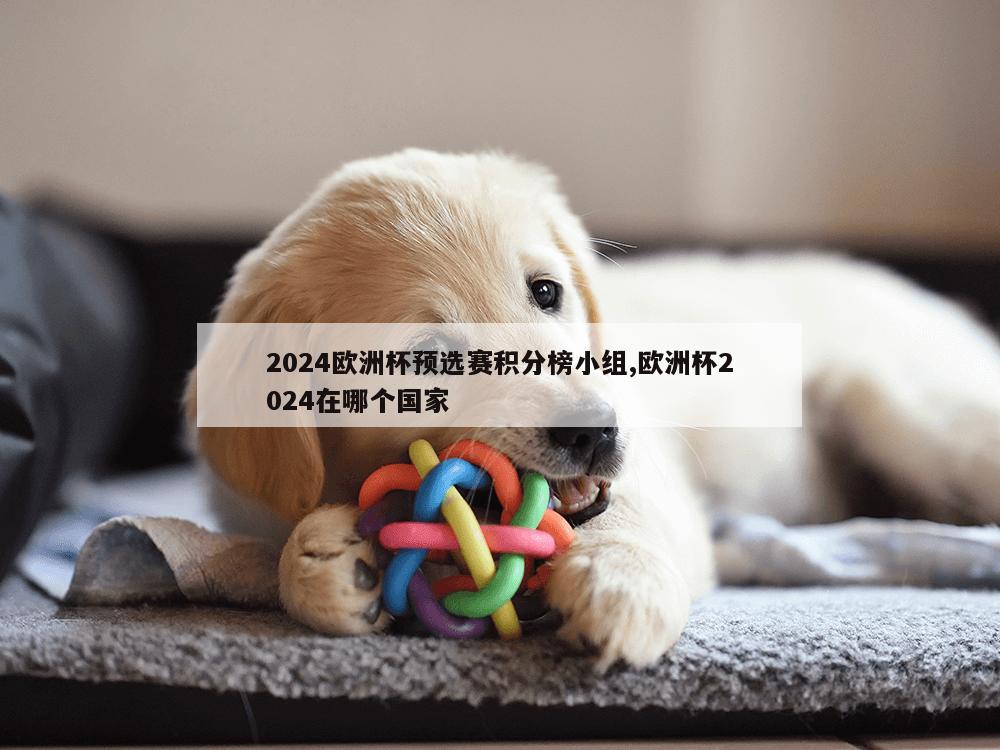 2024欧洲杯预选赛积分榜小组,欧洲杯2024在哪个国家