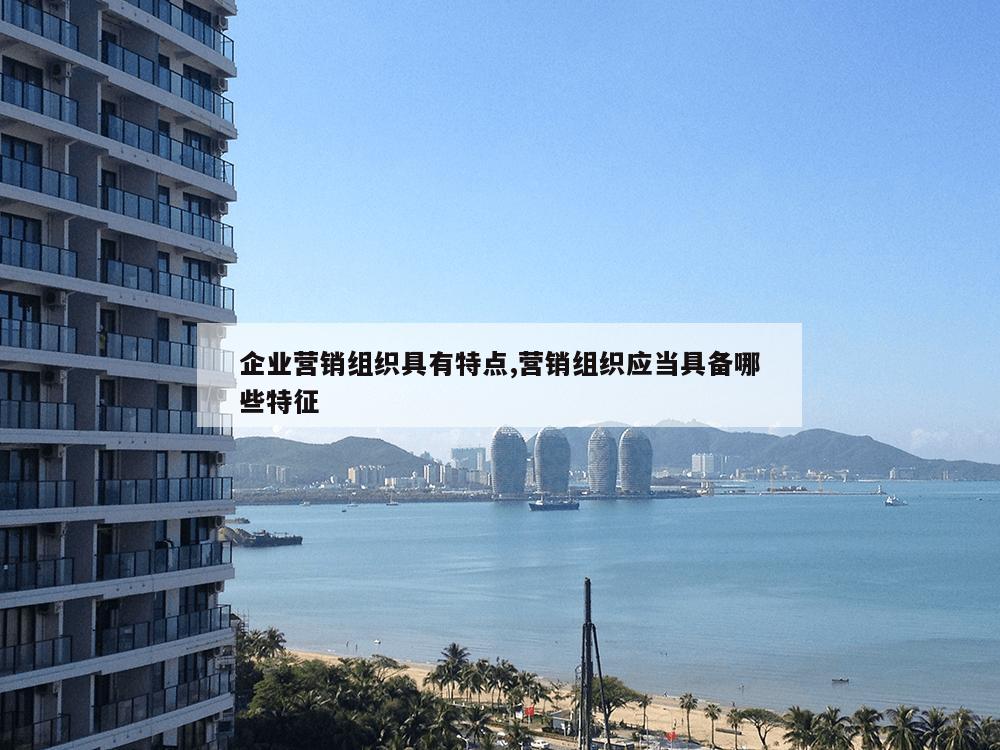 企业营销组织具有特点,营销组织应当具备哪些特征