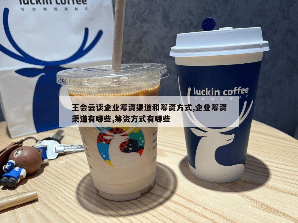 王会云谈企业筹资渠道和筹资方式,企业筹资渠道有哪些,筹资方式有哪些