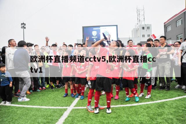 欧洲杯直播频道cctv5,欧洲杯直播cctv1