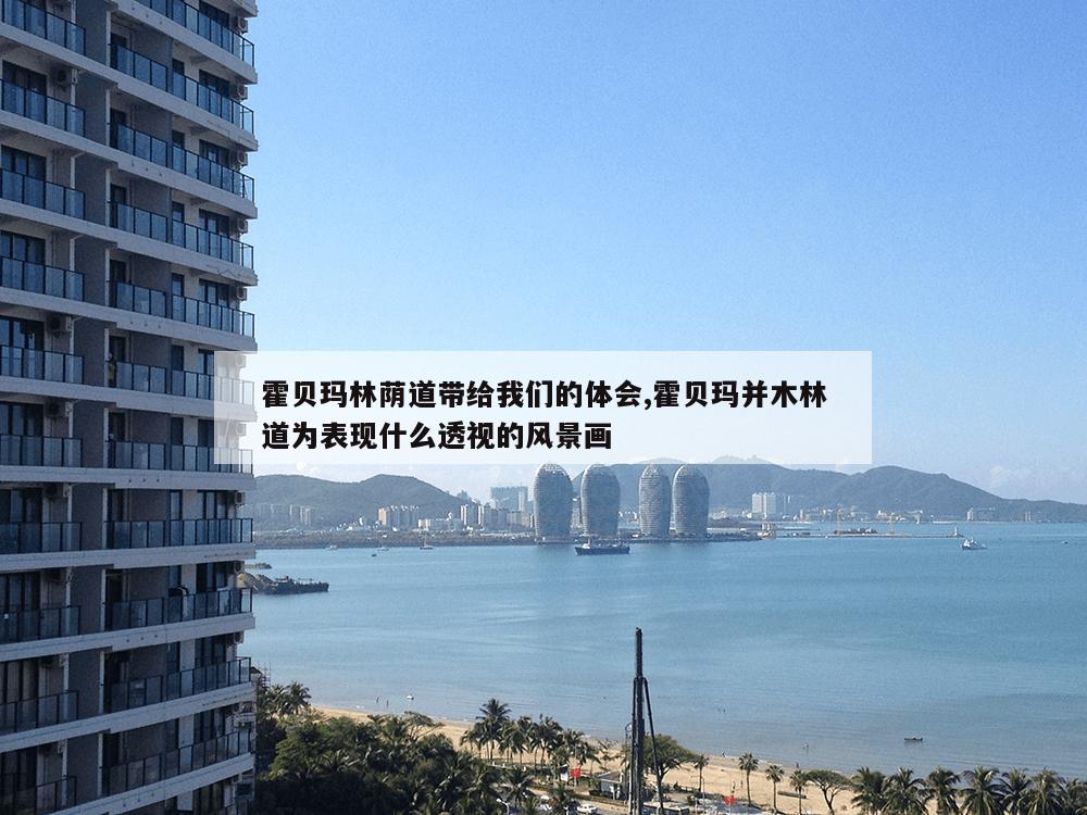 霍贝玛林荫道带给我们的体会,霍贝玛并木林道为表现什么透视的风景画