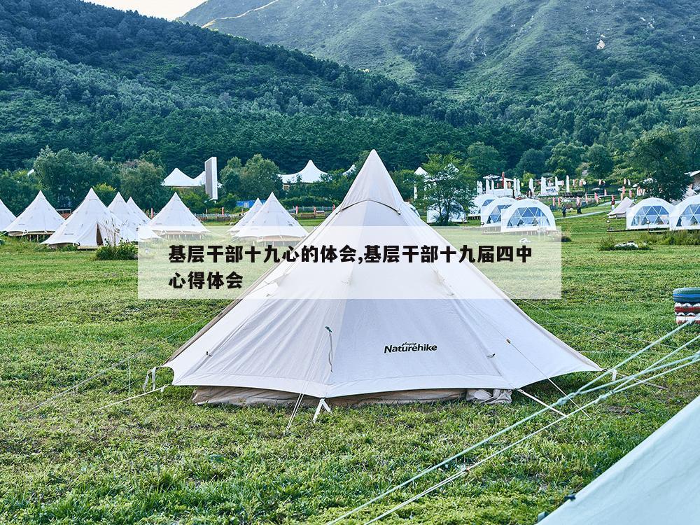 基层干部十九心的体会,基层干部十九届四中心得体会