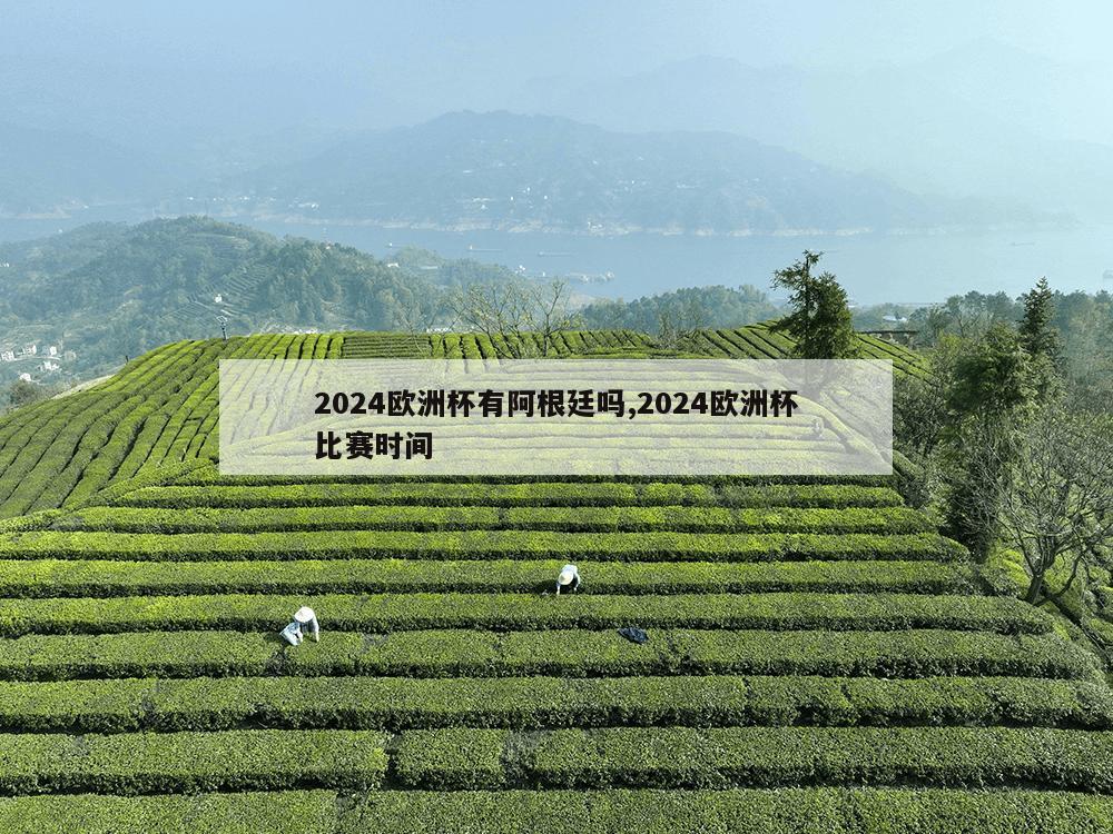 2024欧洲杯有阿根廷吗,2024欧洲杯比赛时间