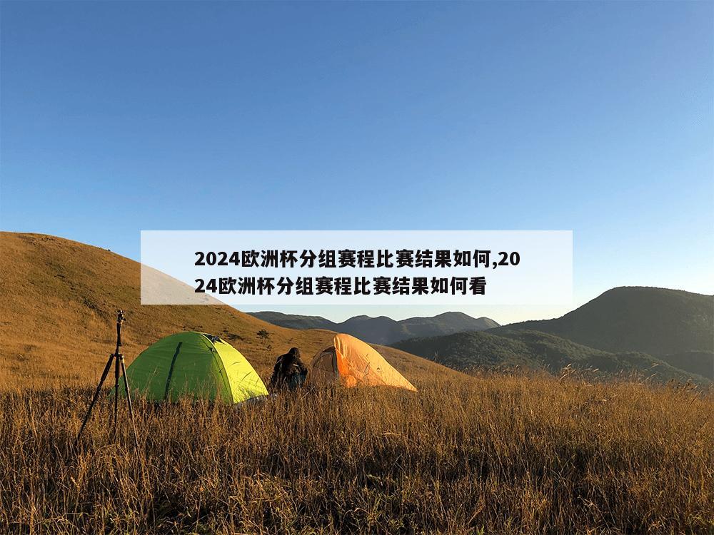 2024欧洲杯分组赛程比赛结果如何,2024欧洲杯分组赛程比赛结果如何看