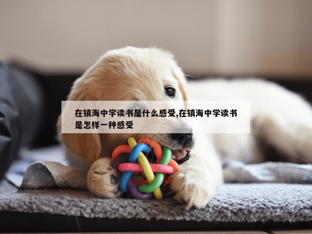 在镇海中学读书是什么感受,在镇海中学读书是怎样一种感受